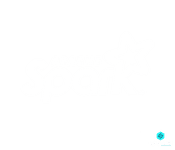 Apache Spark
